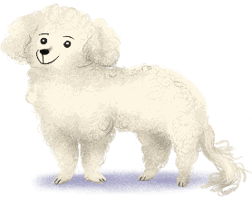 Illustration of Pickle, a small white fluffy dog